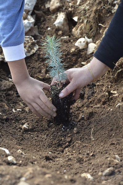 Azadea Foundation Continues Its Support to Research in its 4th Plantation Day